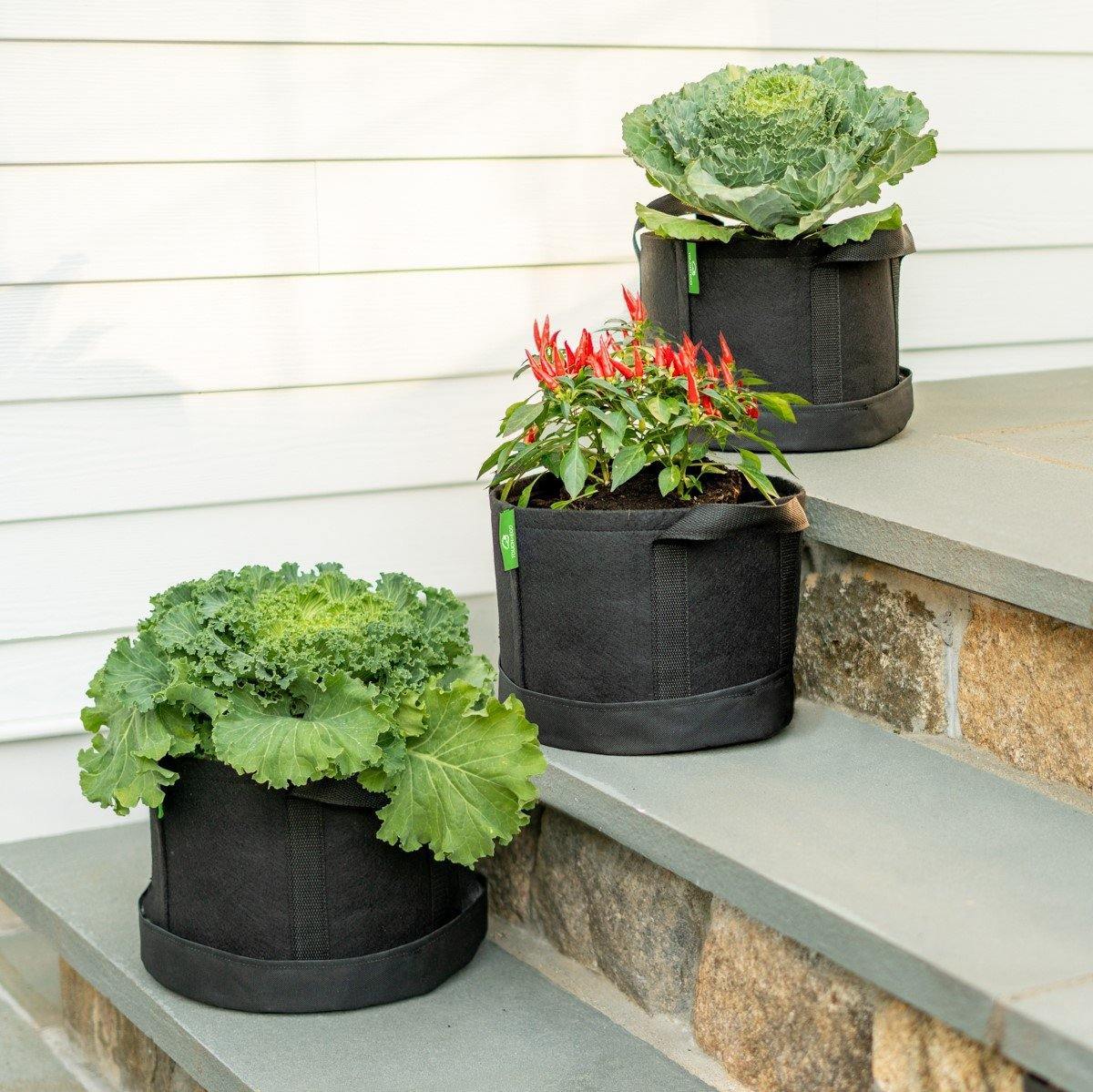 Planter bags  The perfect solution for your plants