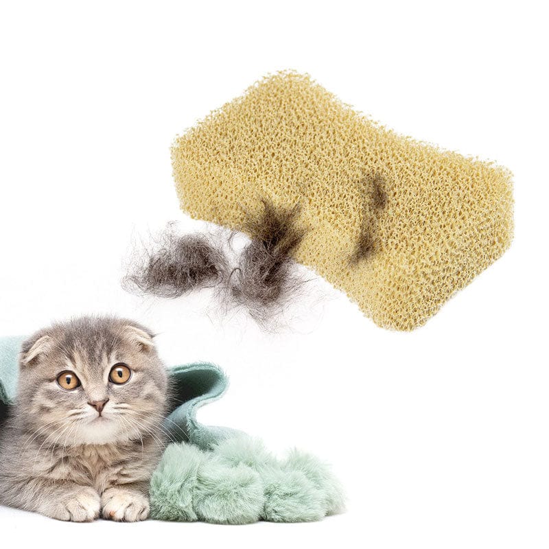 Bone Shaped Sponge Silicone Pet Hair Remover