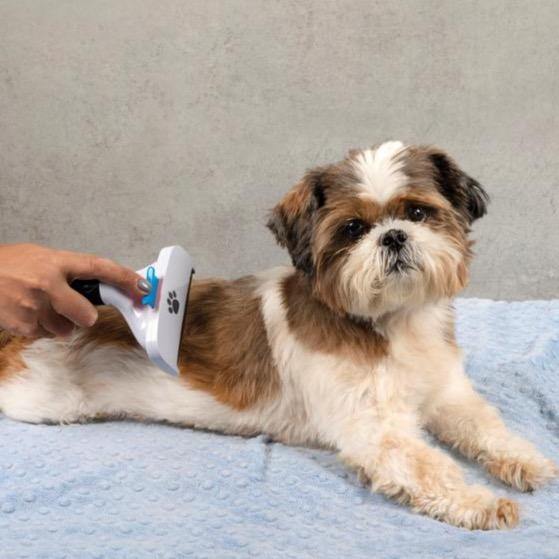 Bell + Howell Paw Perfect Grooming Dog Brush EM7964