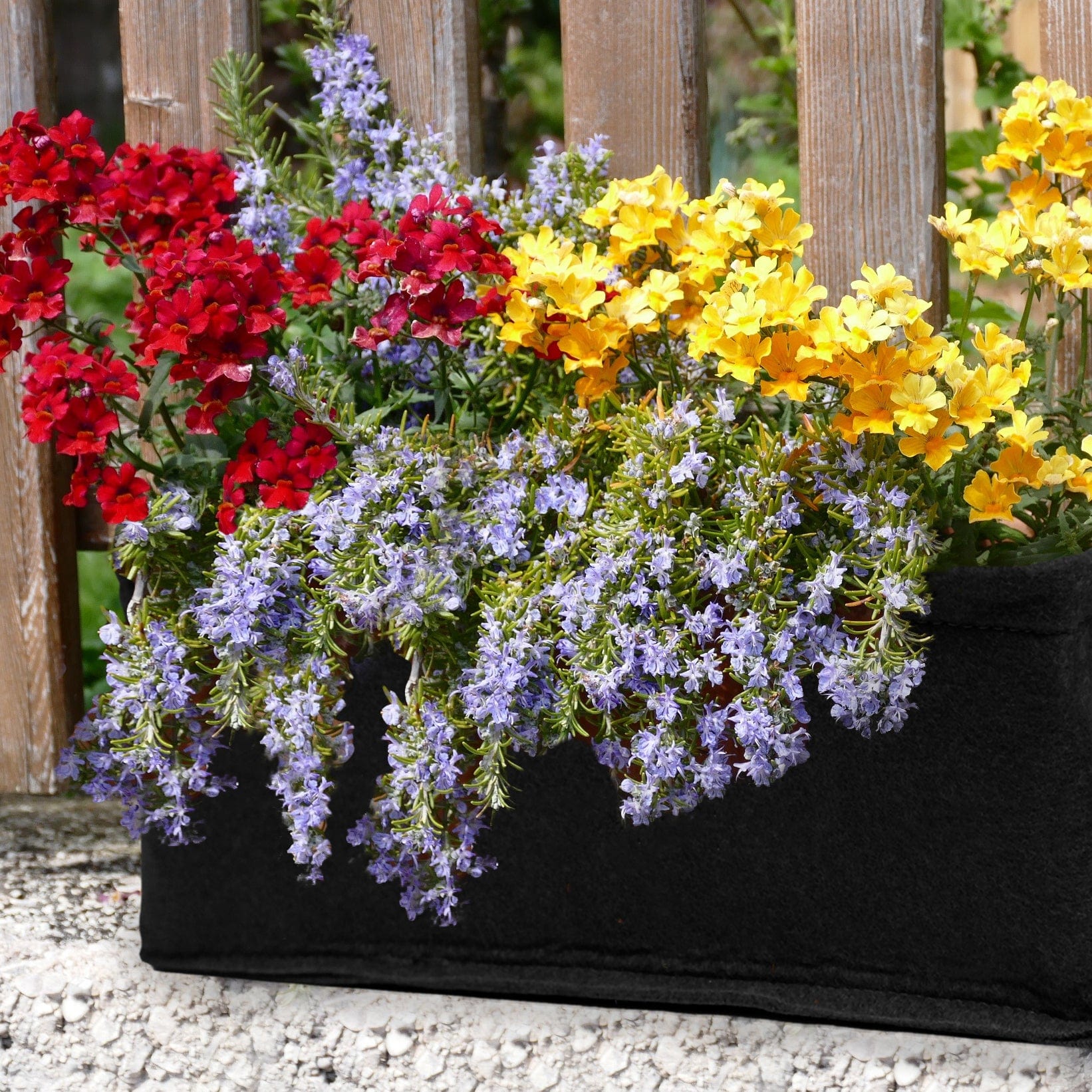 Butterfly Flower Garden Planter Box Kit 8079