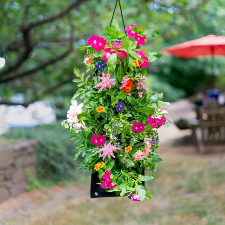 Butterfly Hanging Seed Bag with Soil Block 6079