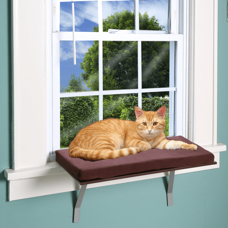 Deluxe Cat Window Foam Cushion Perch 4937