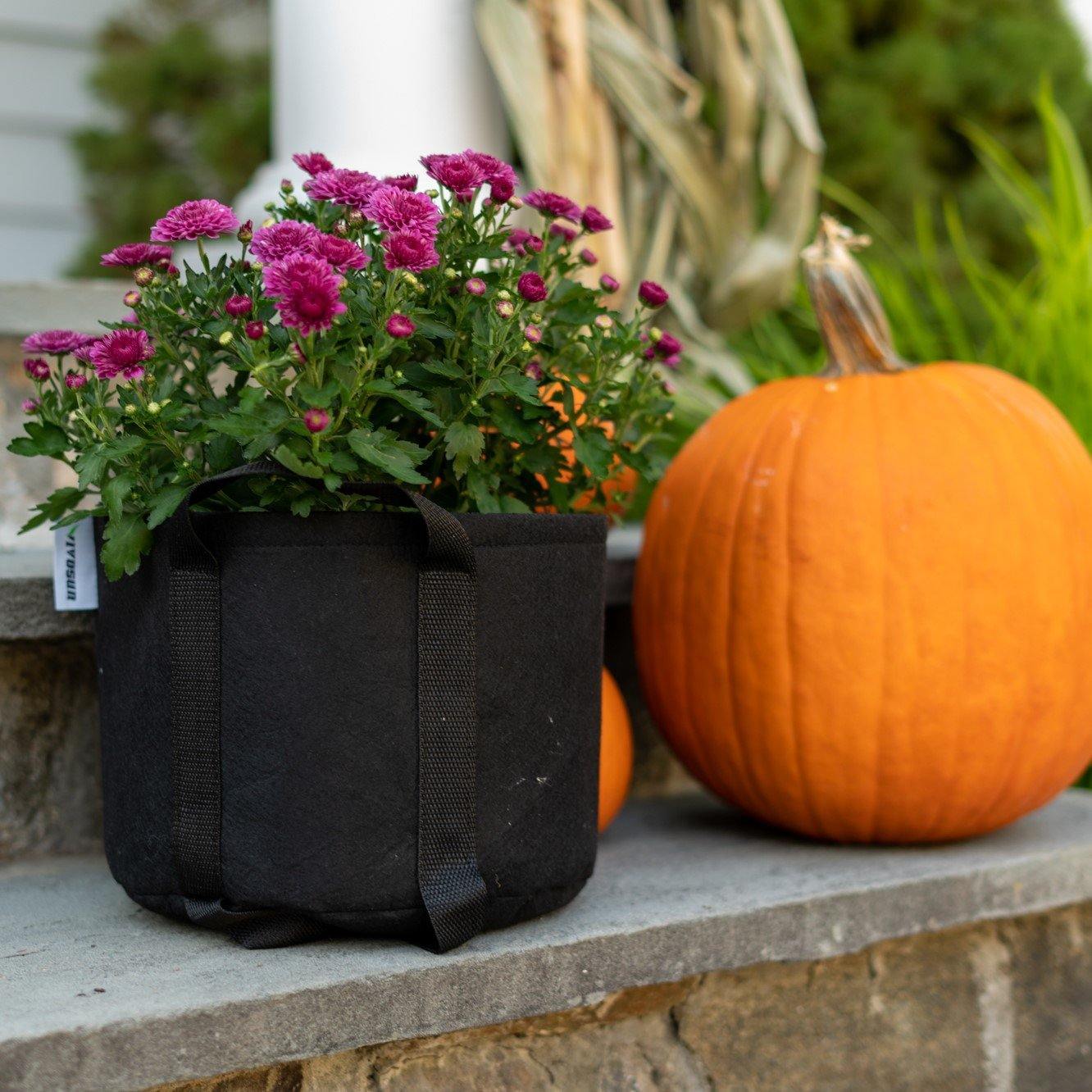 Grow Bag Manufacturers | HDPE Planter Bags For Plants