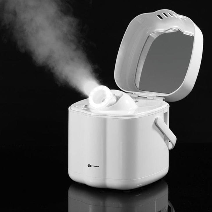 Hot Mist Nano Facial Steamer DL008