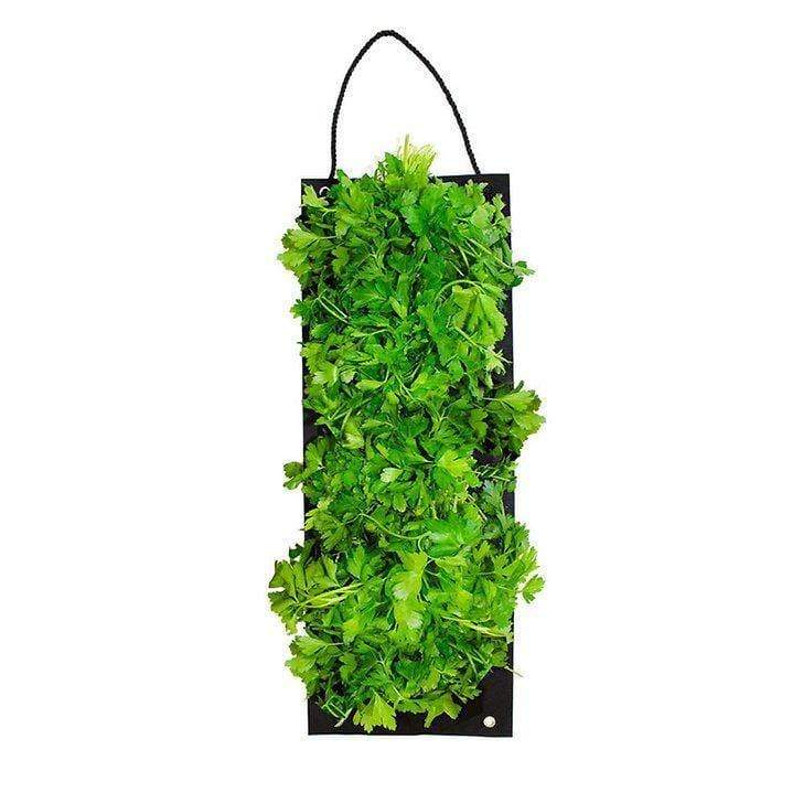 Organic Parsley Hanging Seed Bag with Soil Block 6073