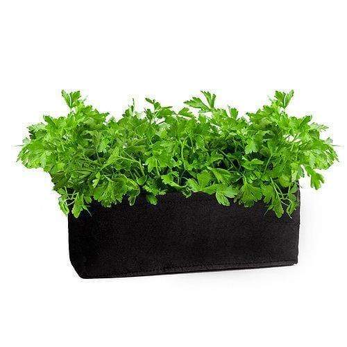 Organic Parsley Herb Planter Kit 8073