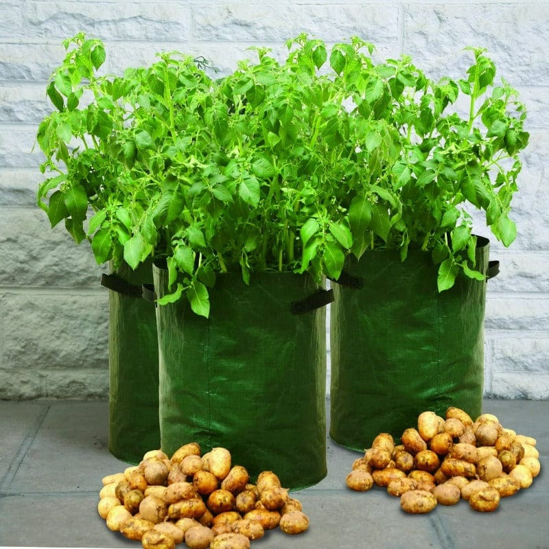 Set of 3 Potato Grow Bag Planters 50-1040