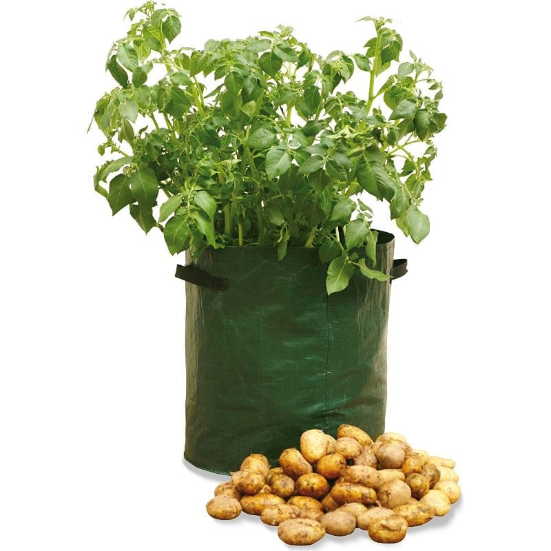 https://www.domestify.com/cdn/shop/products/set-of-3-potato-grow-bag-planters-50-1040-28713907716167.jpg?v=1652989830&width=800
