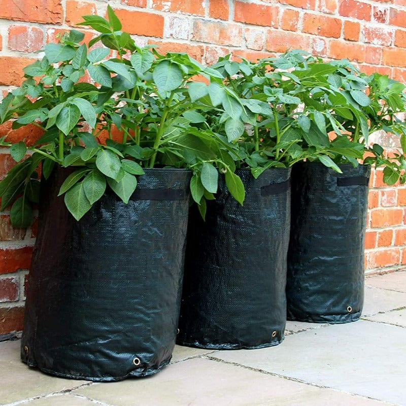 Set of 3 Potato Grow Bag Planters 50-1040