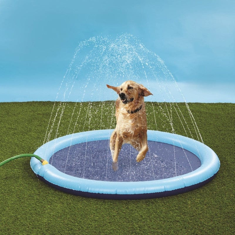 Sprinkler Pals Dog Pool Mat 5297